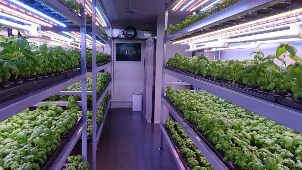 حاويات الزراعة العمودية الخالية من التربة (14)