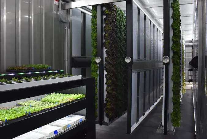 حاويات الزراعة العمودية الخالية من التربة (5)